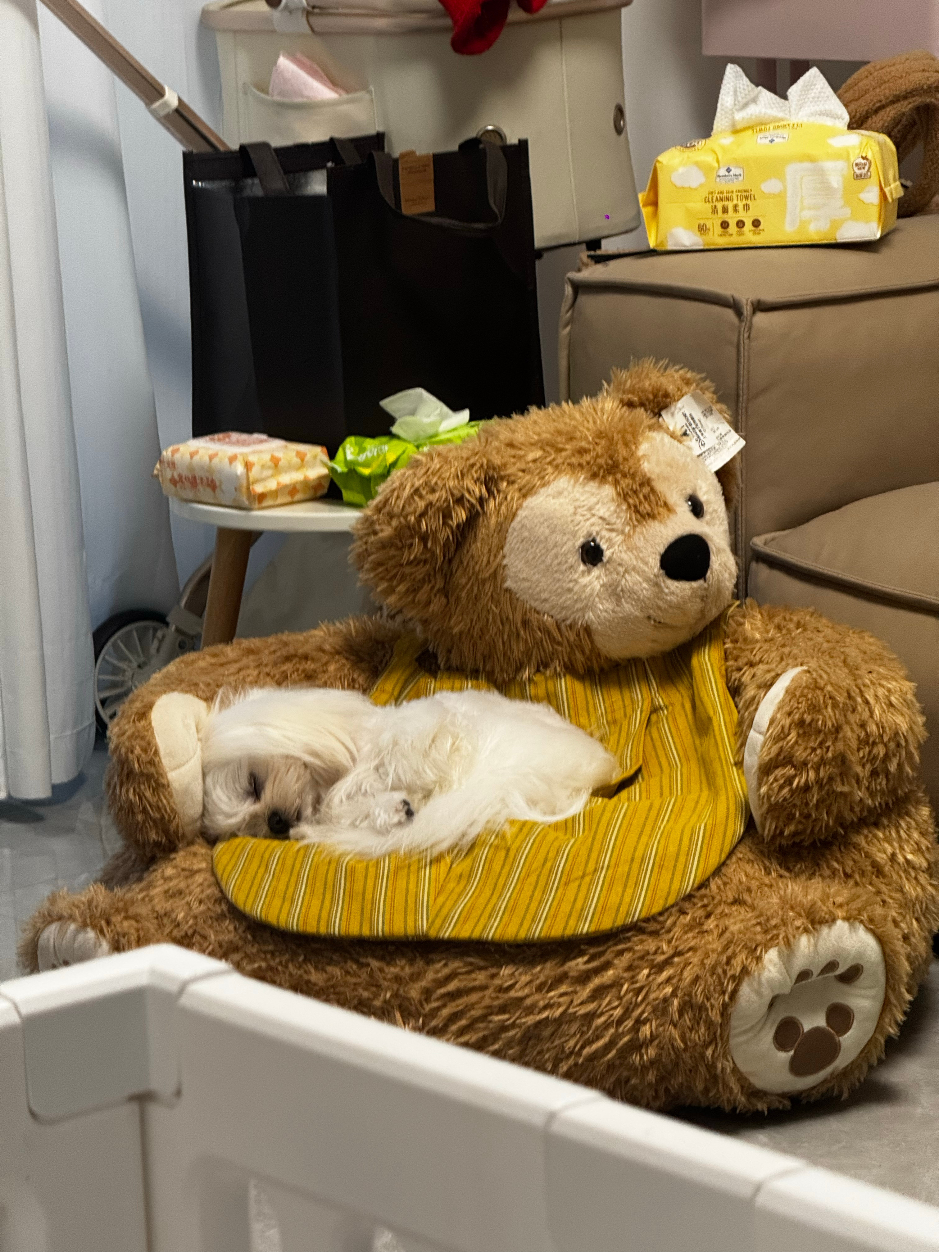 我在收拾，我妈在跑步，木木在睡觉笑死我了​​​