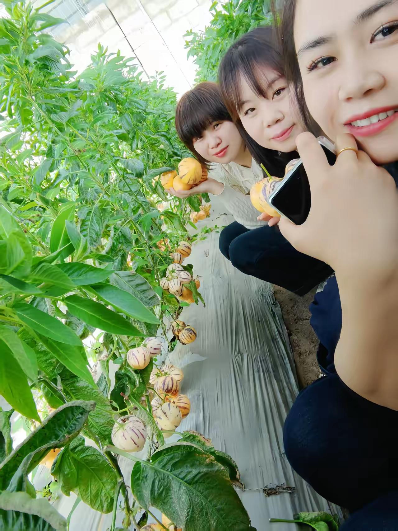 都美美的一天最可爱的我们