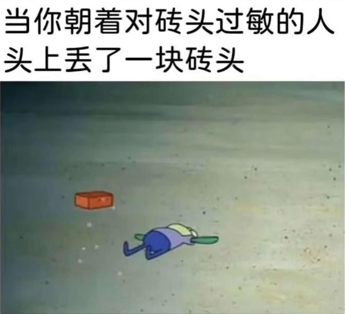 看来我们都对砖头过敏