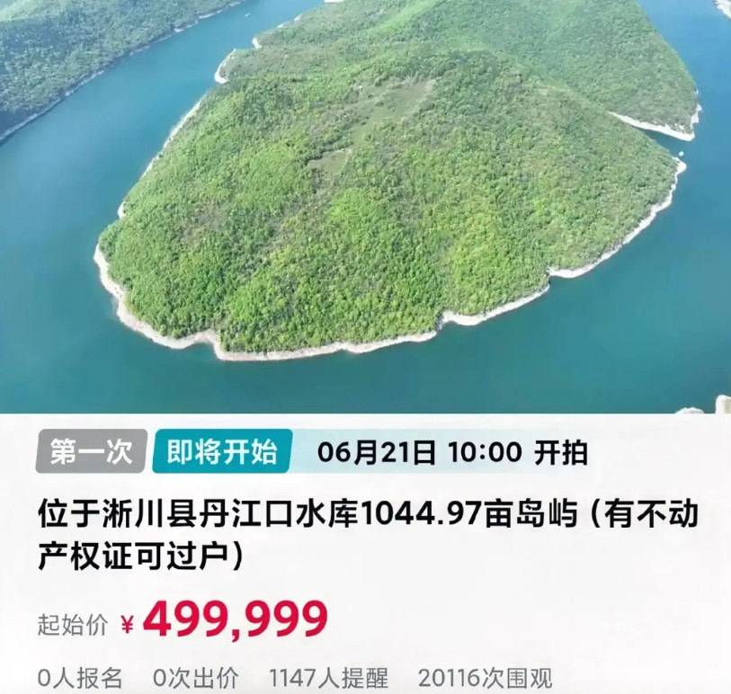 淅川县一岛屿50万拍卖！淅川县一个1000余亩的岛屿在阿里平台拍卖，有不动产权