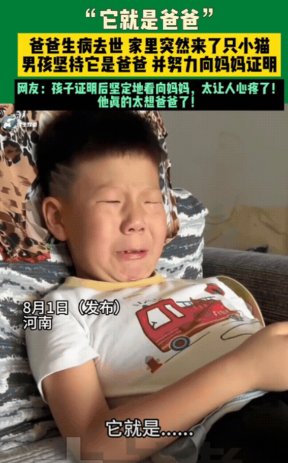 “解释不清了！”河南，爸爸生病去世，儿子晚上做梦，梦见爸爸变成一只猫！第二天，家