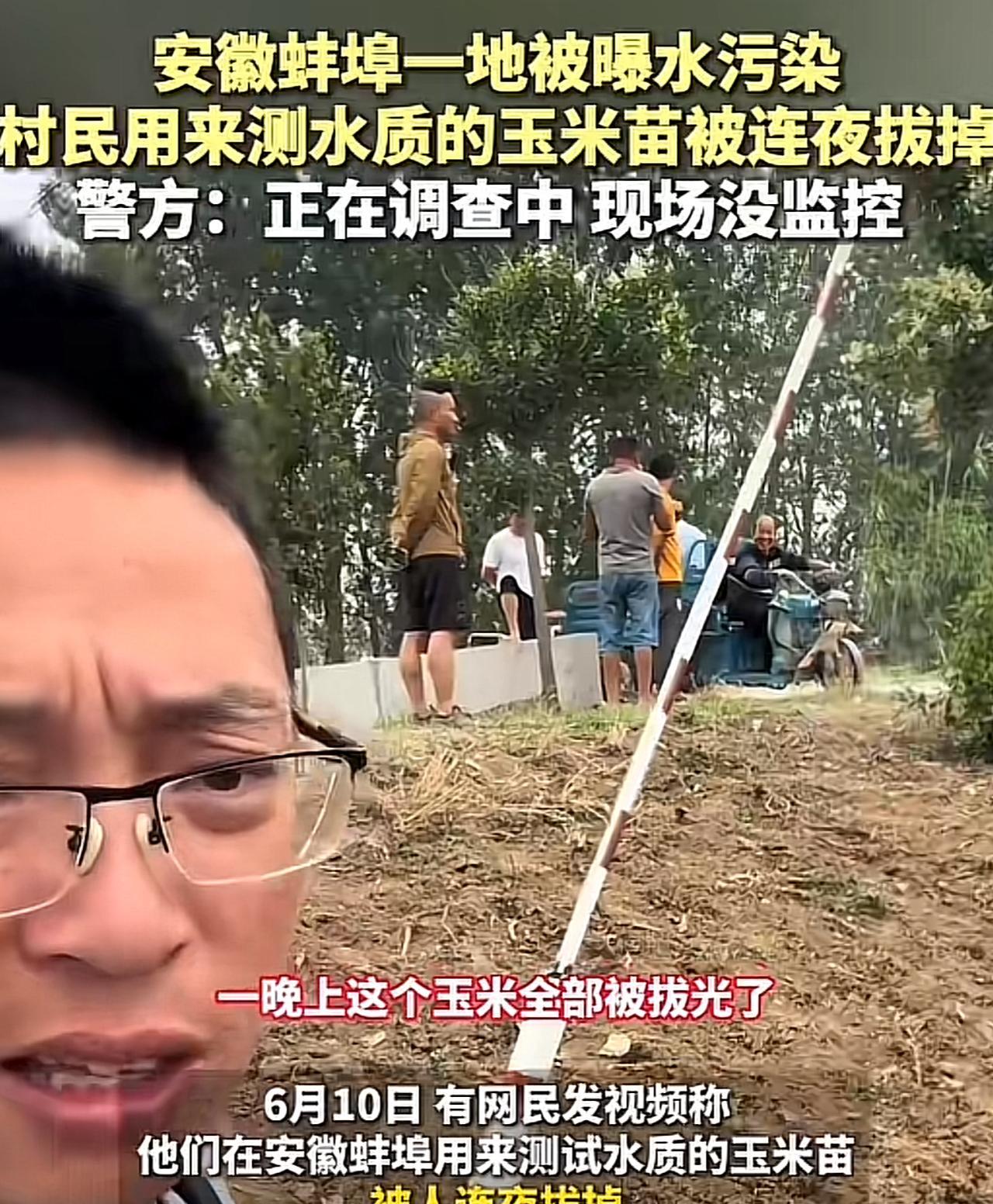 安徽蚌埠，一地用于灌溉的水被污染，村民现场做了个试验并录了视频，将水浇在玉米地的