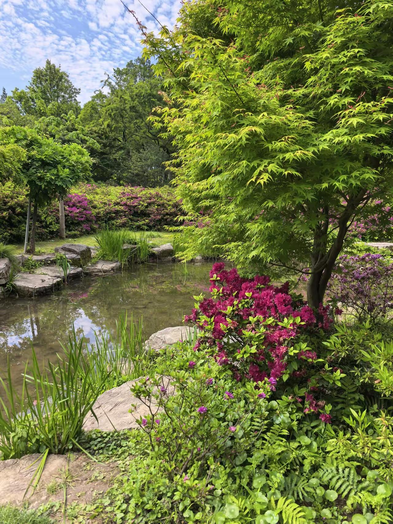 谁能拒绝上海滨江森林公园自然风景！妥妥的城市绿野仙踪，把一整个春天都搬进了公园里