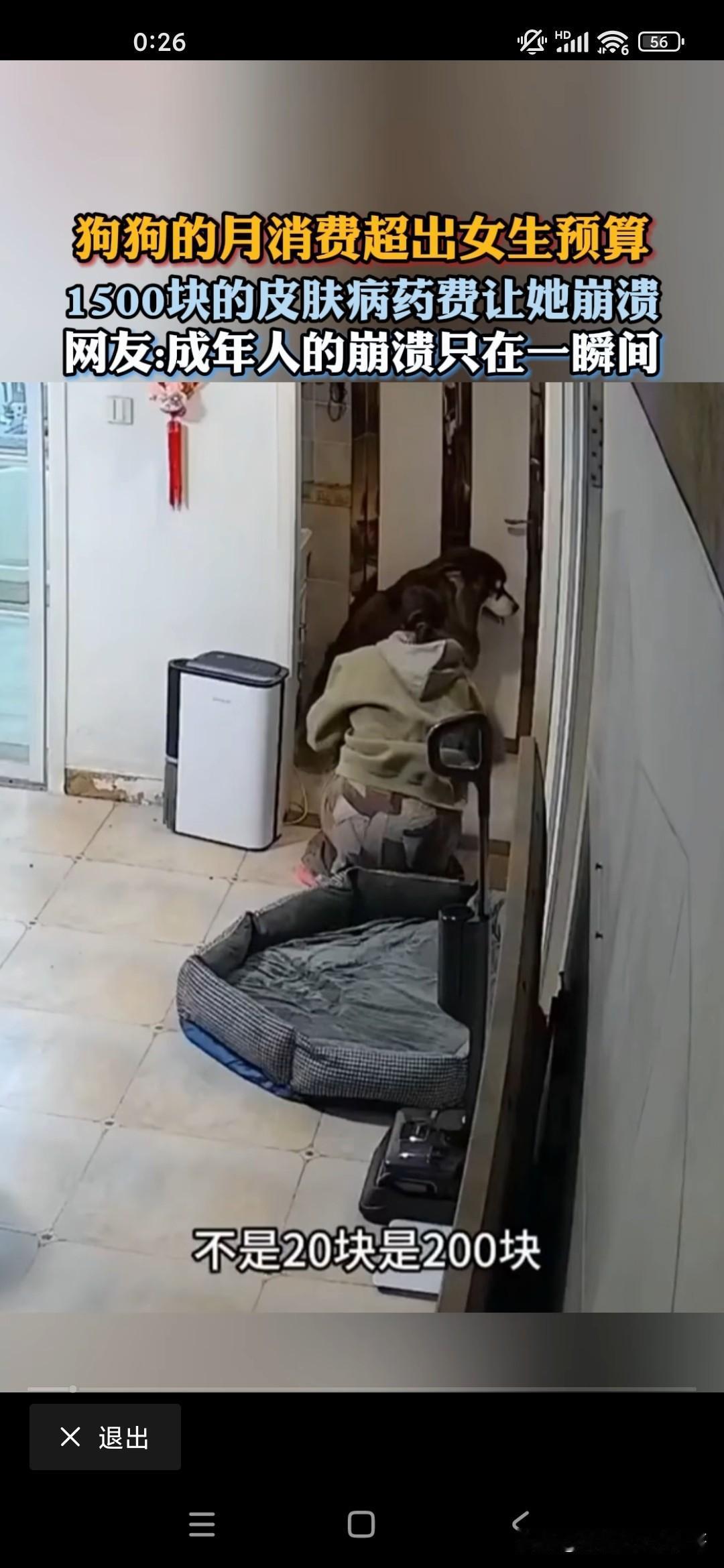 一个女孩养了一条狗，因为这个狗平时可能不太注意卫生，得了皮肤病，花了她1500块