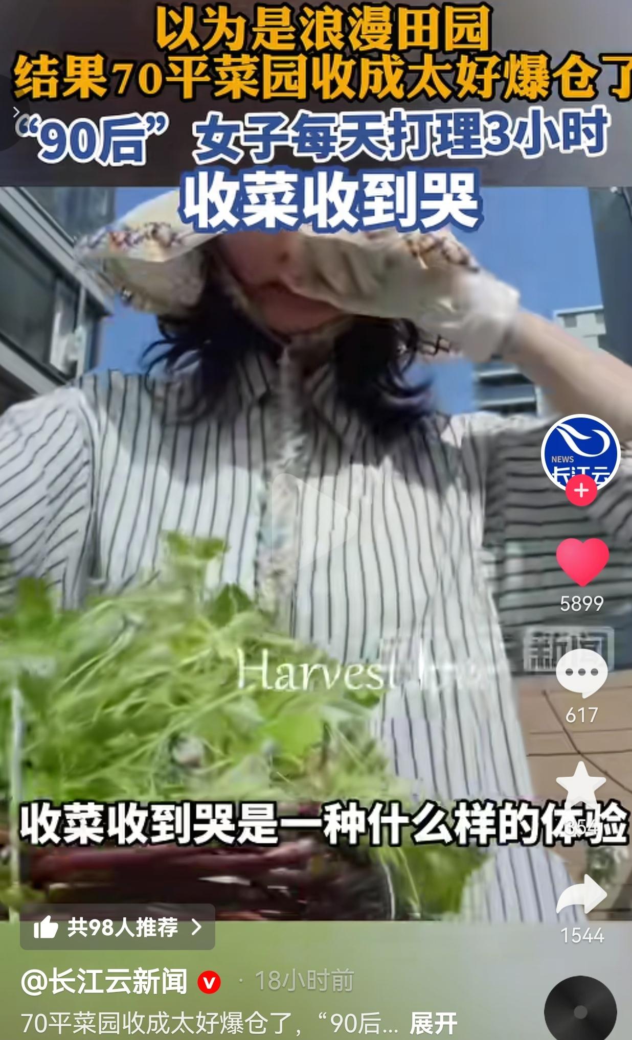 90后姑娘种70平菜园爆仓，收菜收到哭！网友：这才是最扎心的“田园梦”！浙