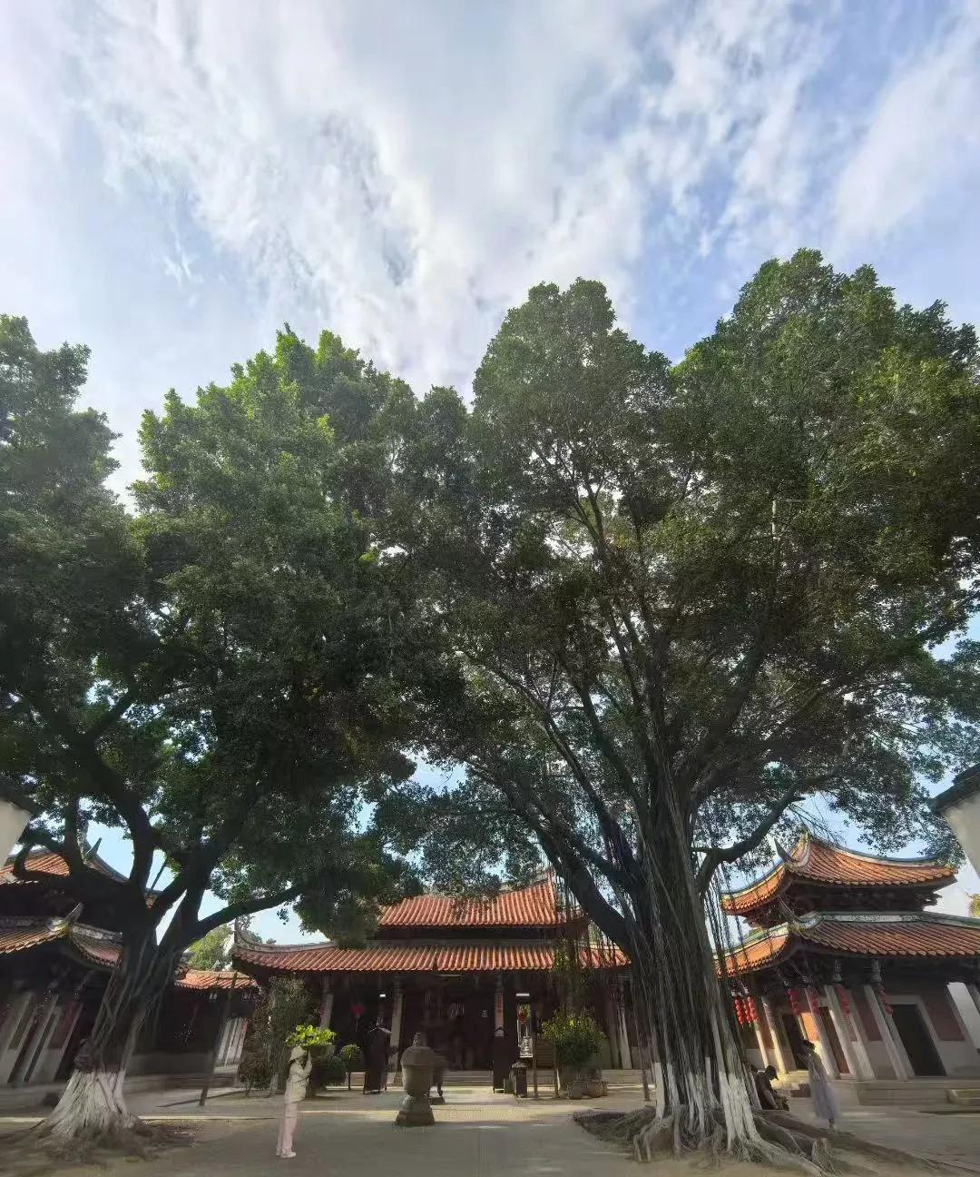 五行长生与帝旺学八字离不开五行长生与帝旺，好地支三合，申子辰水局，申为长生，子