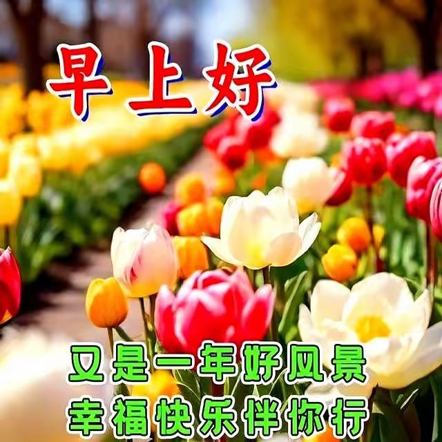 晨光悄悄漫过窗棂，带着清晨的温柔道一声早安。愿快乐像晨光般追着你跑，好运像云朵般