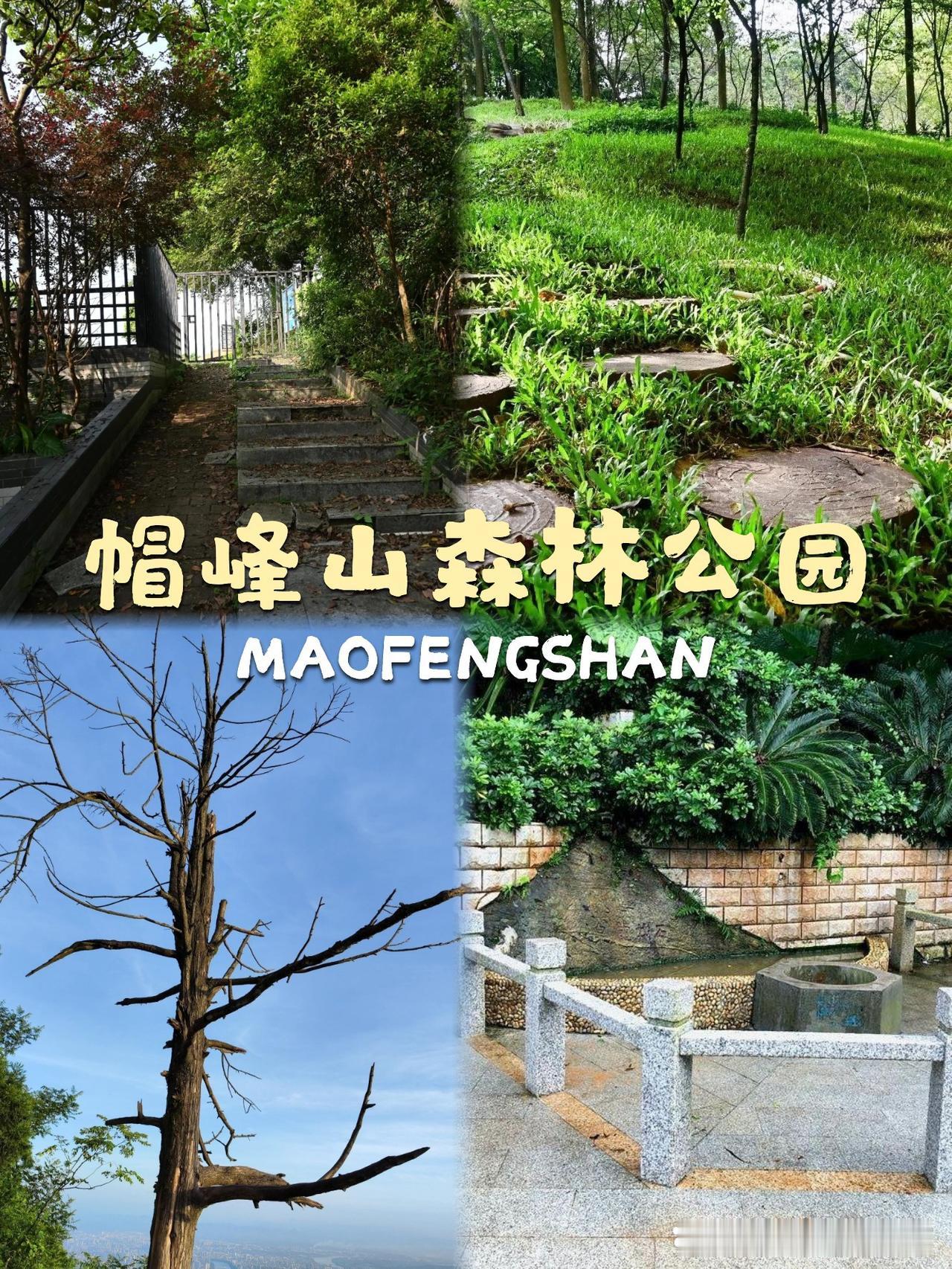 帽峰山森林公园一日游保姆级攻略🌿在广州想一天玩透自然与人文？帽峰山森林公园