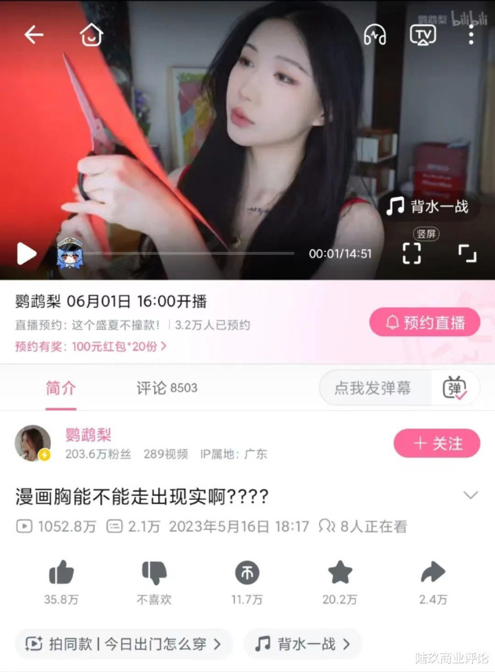 第 5 个：B站的生态和商业, 不是你想的那种关系