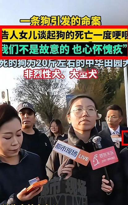 申家女儿职业习惯让她能够从容面对郭家的挑衅申家儿子被郭家的狗咬，一气之