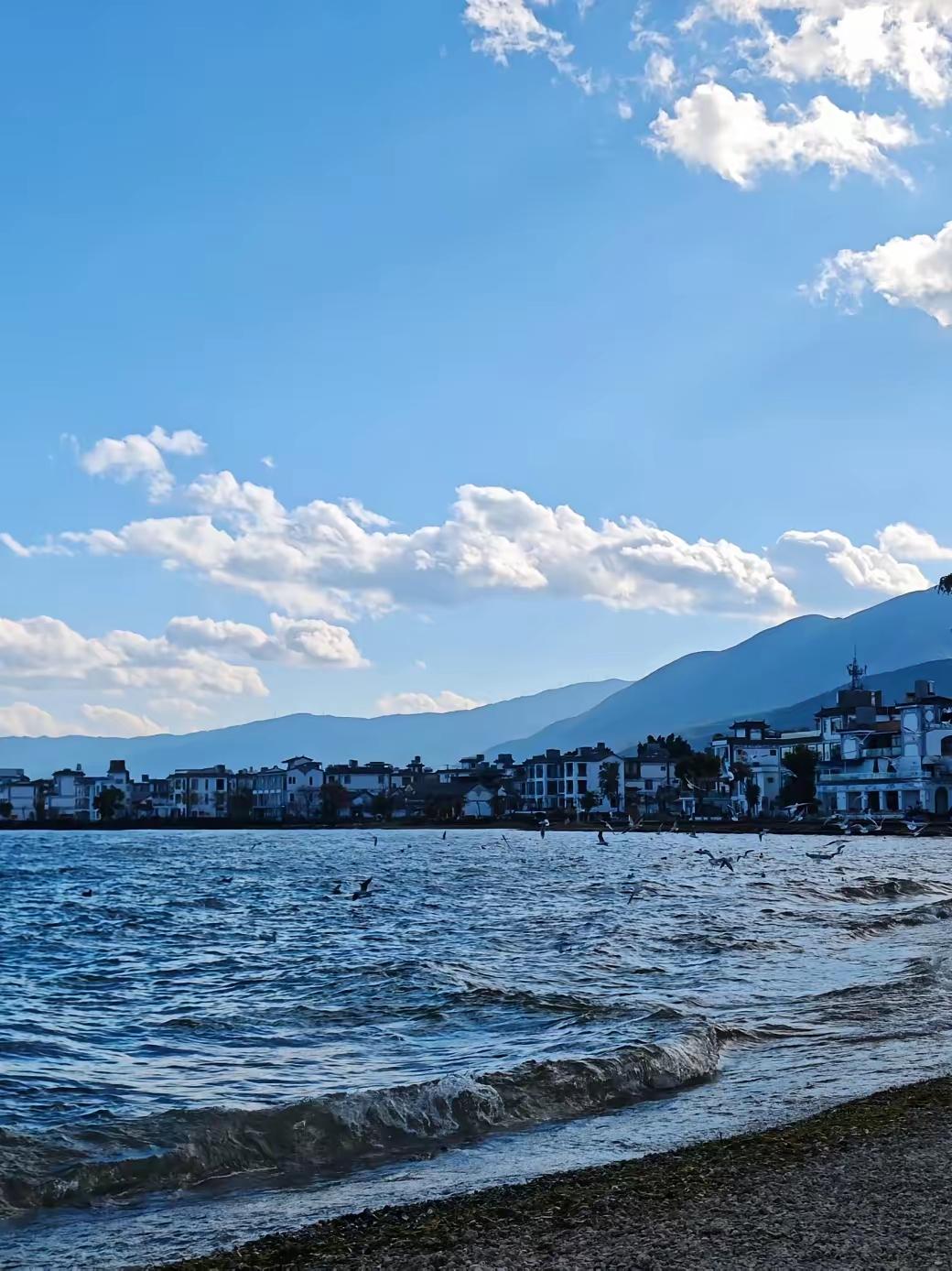 千万不要带任何人旅游我和大姐去云南旅游，我一周花了将近一万块钱，结果大姐不但没