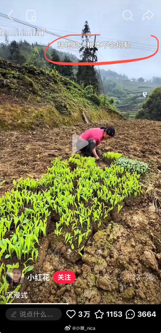 想去种田​​​