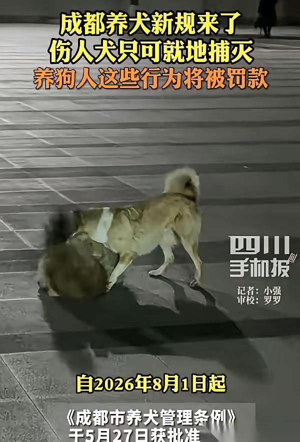 成都养犬新规落地，这次真动了刀子。狗主人怎么也没想到，8月1号起，自家狗