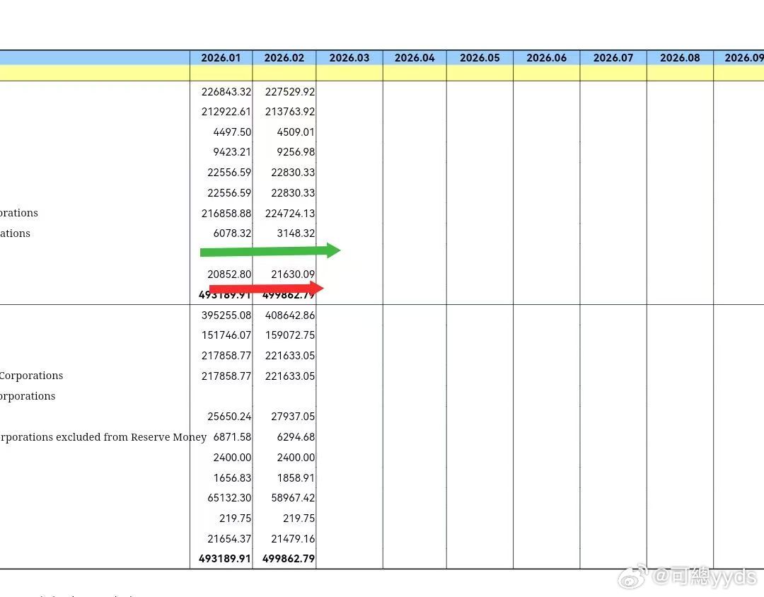 1月份2月份汇金套现8000亿，还了央行5300亿，其中大概本金4900多亿，3