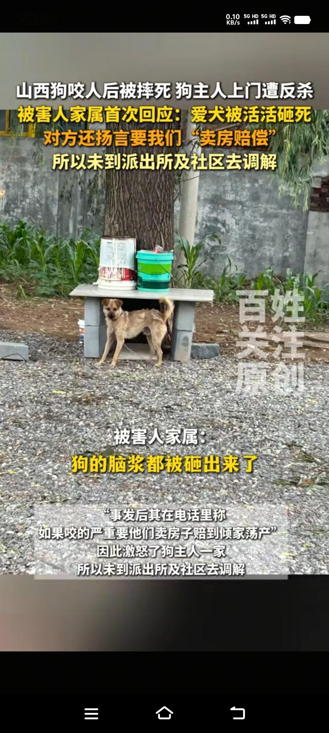 就这么一条狗，又瘦又小，而且还是拴着，实在想不通它能把申某咬的有多厉害，以至于要