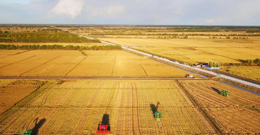 如果全球都停止出口粮食，中国能否自给自足？就这么说吧，中国停止粮食供应，全球至少