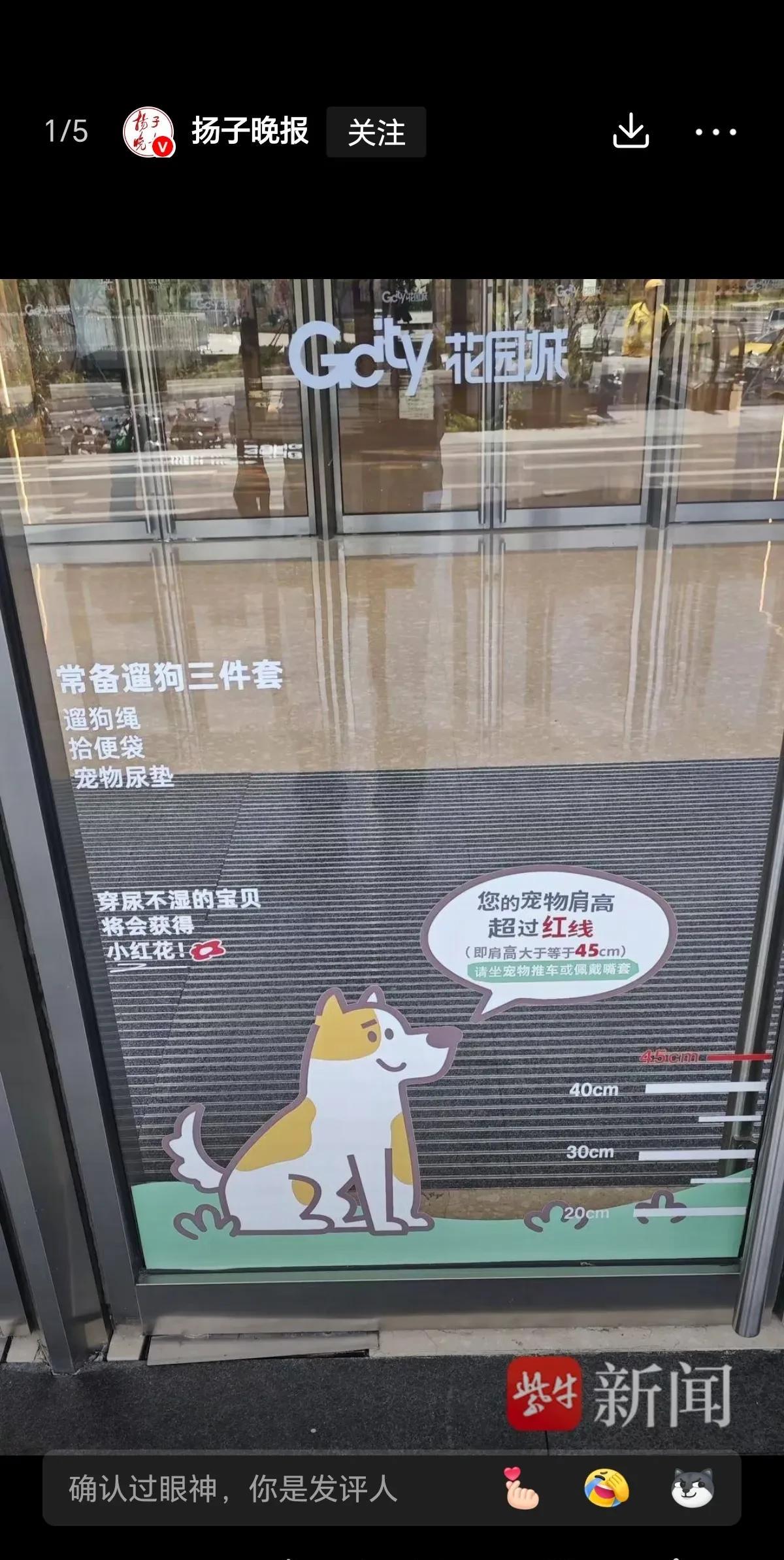 南京“毛孩子”成为商场里的时尚“顾客”，但有人不牵绳、排泄物清理不及时引热议宠