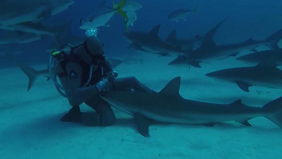 16023192150989481910.jpg?id=0