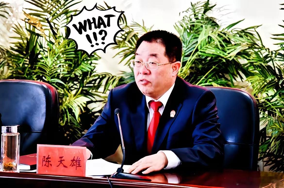 甘肃这回又是平地一声雷！省高院那个陈天雄，退休都在家带两年孙子了，还是被揪了出来