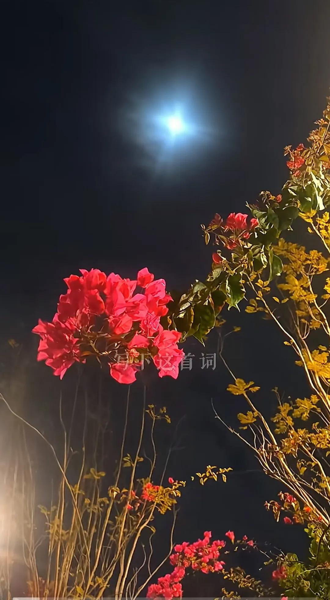 对于一般女人对你发出的挑逗性语言，男人真的不要误会，以为她就对你有意思，或者认为