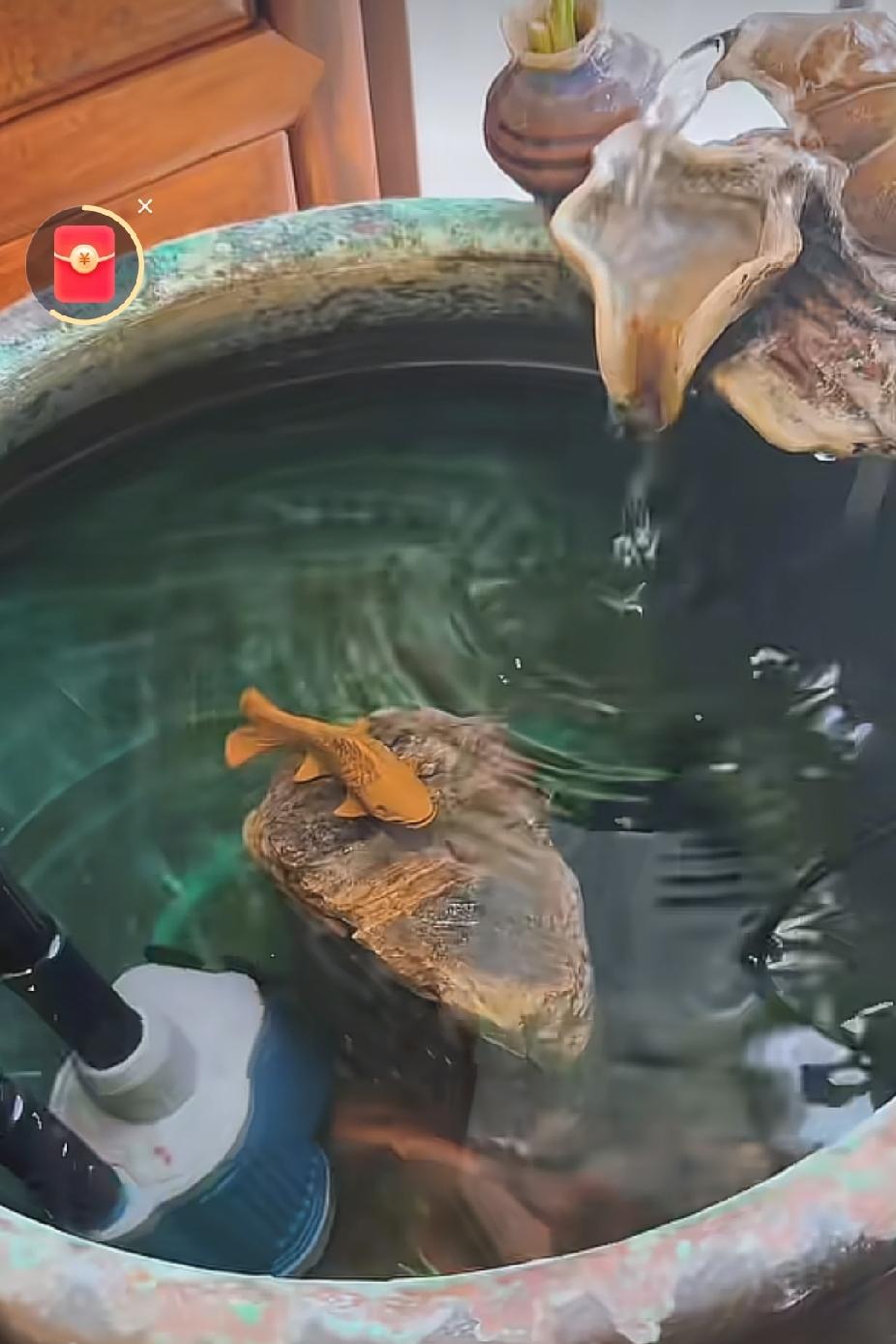 李老师刚刚发作品：去见当事人李老师这几天连发了好多作品：刚刚发的作品，是张书