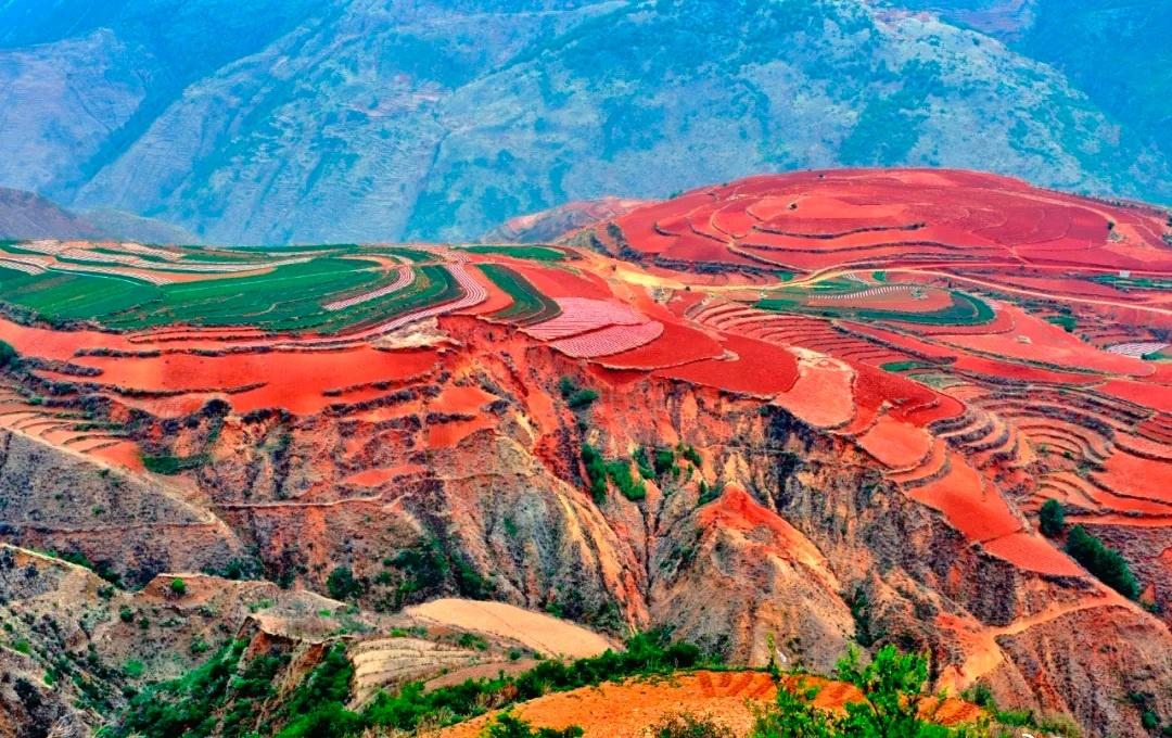 中国光棍最多的省份：第10名：江苏—约132万第9名：山东—约1