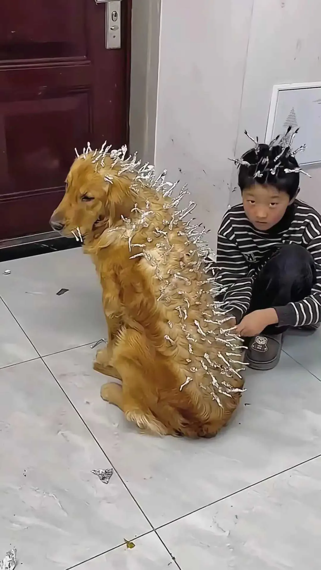 狗狗：我这也太难了吧，小主人惹不起