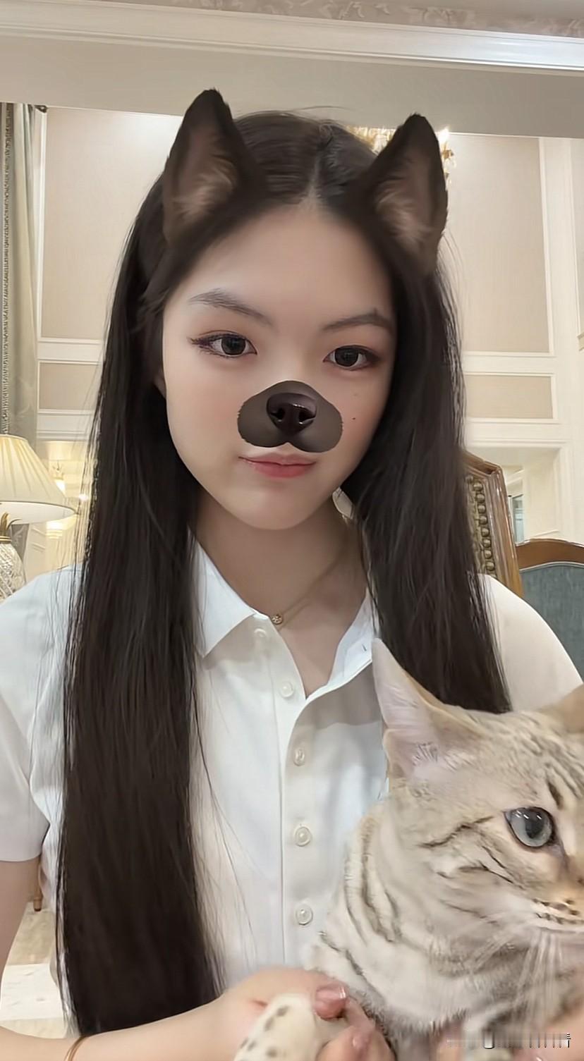 圣诞节王诗龄抱着家里的小猫跳舞并发文：闺蜜们圣诞快乐呀！王诗龄圣诞节放假回国