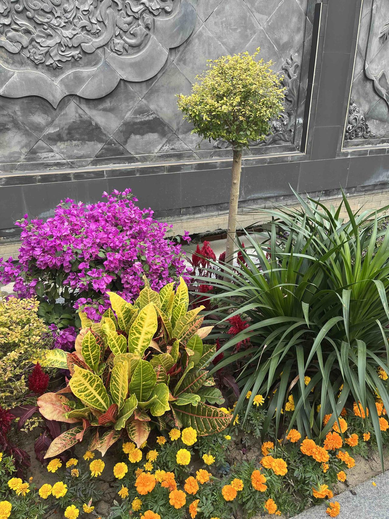 悄悄告诉你！买房“四买”、“四不买”！房子是安放肉身的地方，作为普通人一辈子