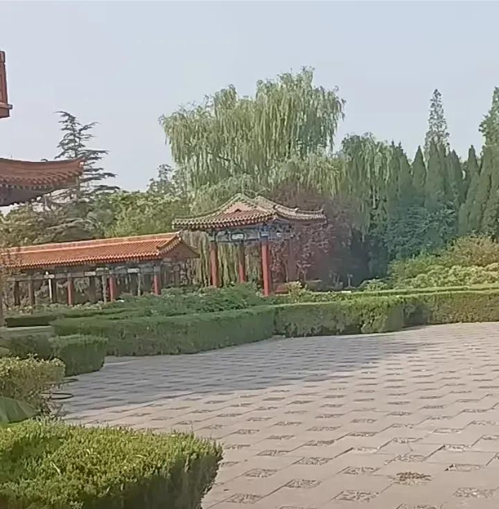 柴桑大姐说，我们人在阵地在！打七寸，天天播报开始：杜新枝，我伸出温暖的手来拉