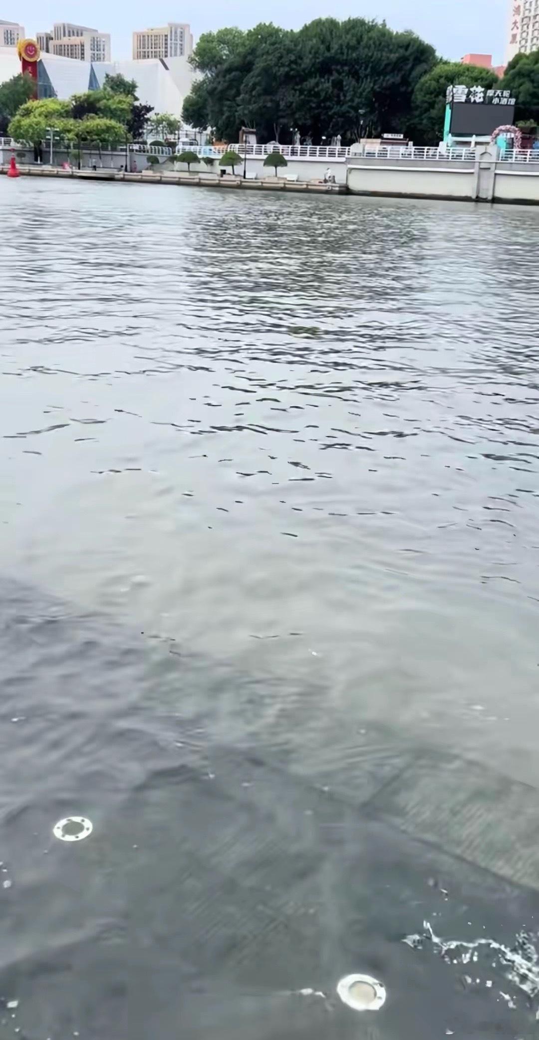那对母子在天津海河溺水后，有天津的大爷拿个刷子在刷海河边上的台阶。通过视频才看清