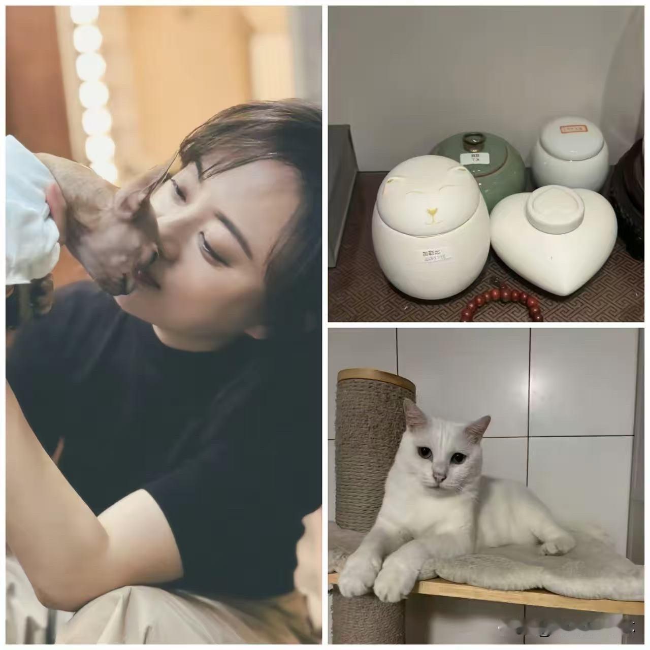 我愿称之为内娱最真诚的告别，没有之一。9月12日晚上，孙俪家里正在吃晚饭。