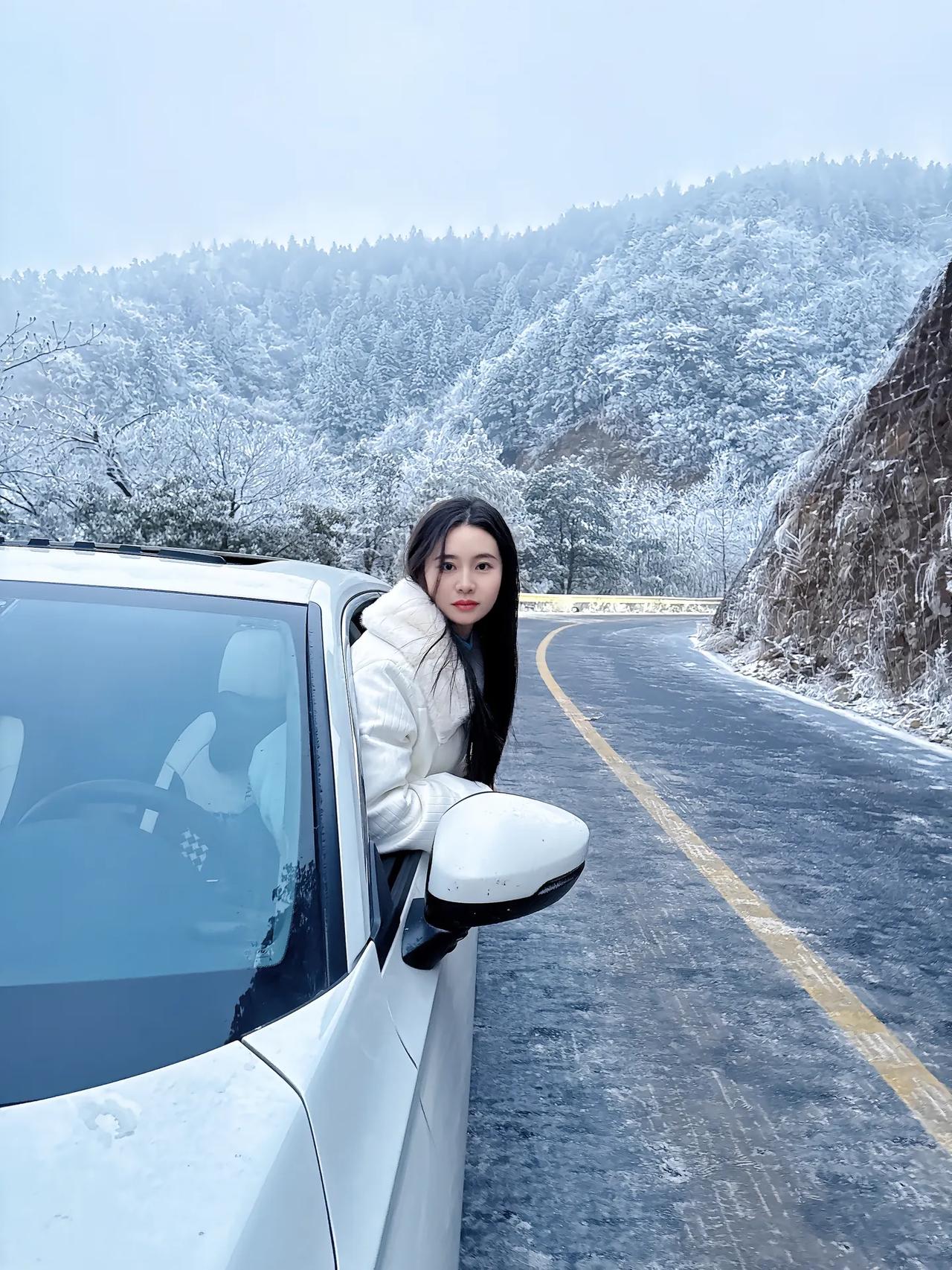 雪中倚车立，风里见春归。