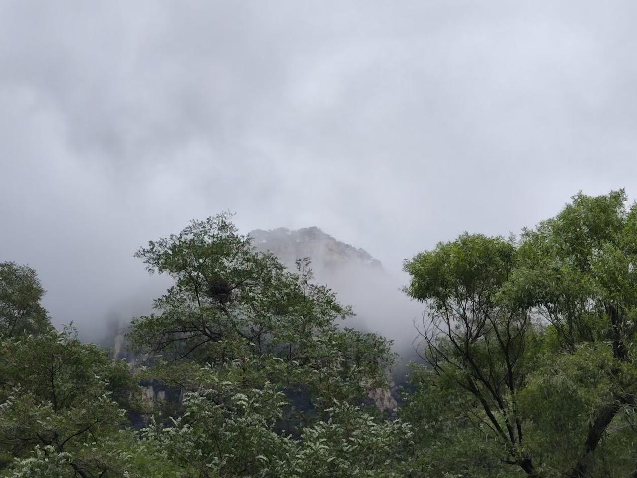 🌿"道法自然，无为而无不为"今日感悟：人生如水，不争自有力量心静如镜