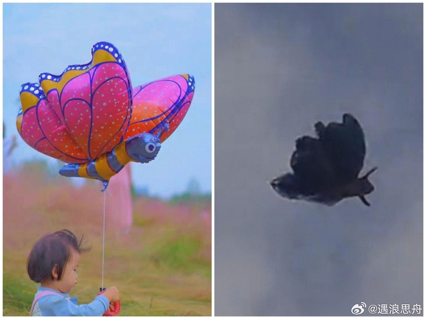 包头禁飞区现蝴蝶状飞行物破案了[doge]​​​