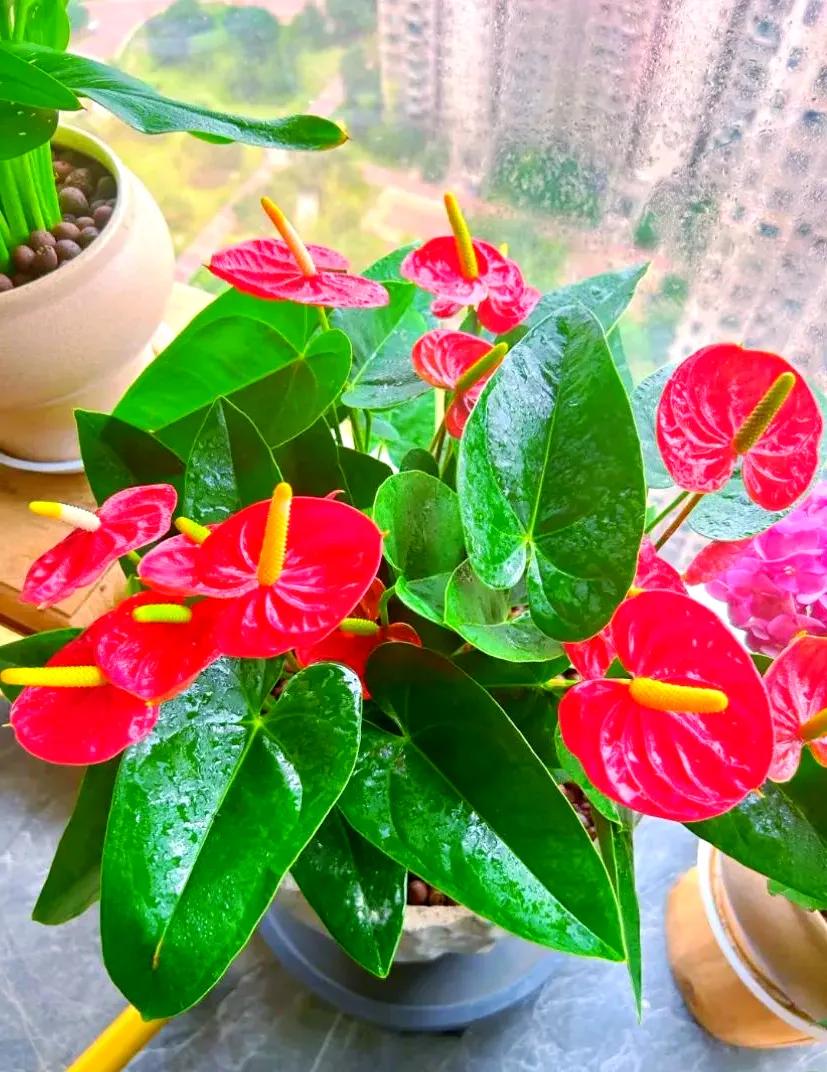 秋雨无心敲落叶，晚风有意抚寒枝。赏析：上下联情景相融，秋雨、晚风皆是秋日常见意