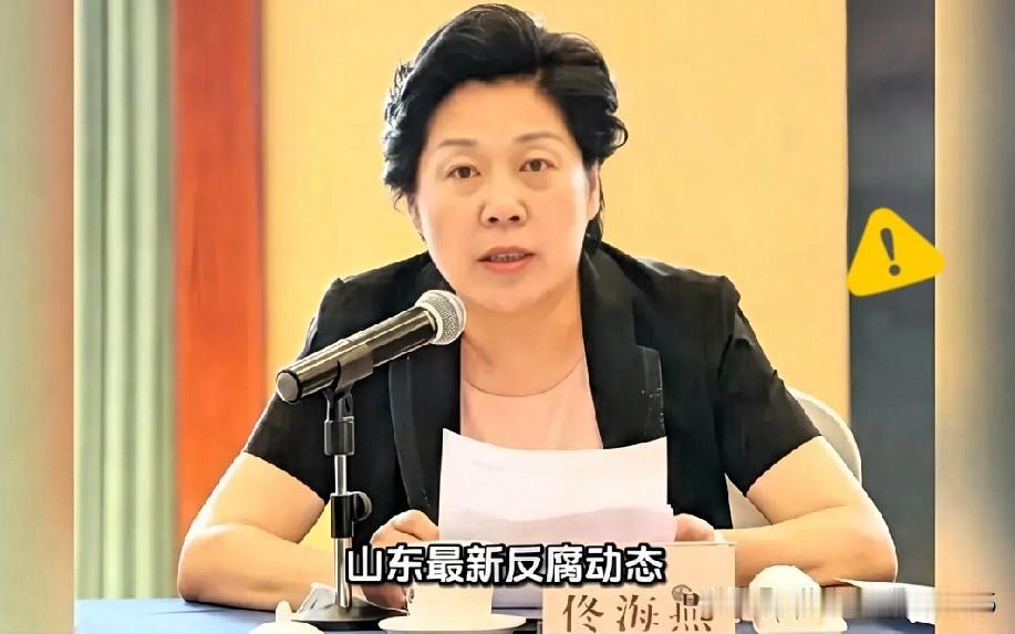 青岛佟海燕落马了，看着那长长的履历，心里真不是滋味。从一名小科员熬到区人大常