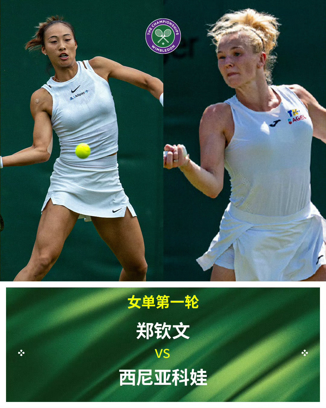 温网2026中国选手签表情况女单2/8区张帅vs安德莱斯库、郑钦文vs西尼亚