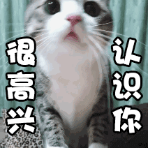 猫咪的小裤裆就是用来摸的猫猫咪呀​​​