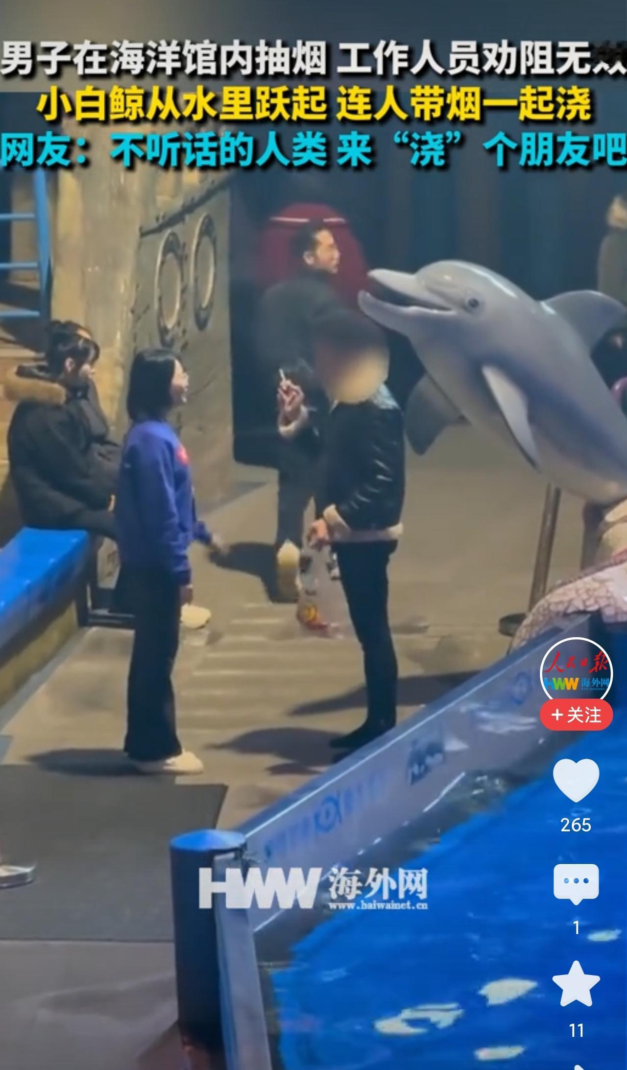 近日，大连某海洋馆内上演了一出令人捧腹的趣事，一只白鲸凭借“硬核操作”意外在网络