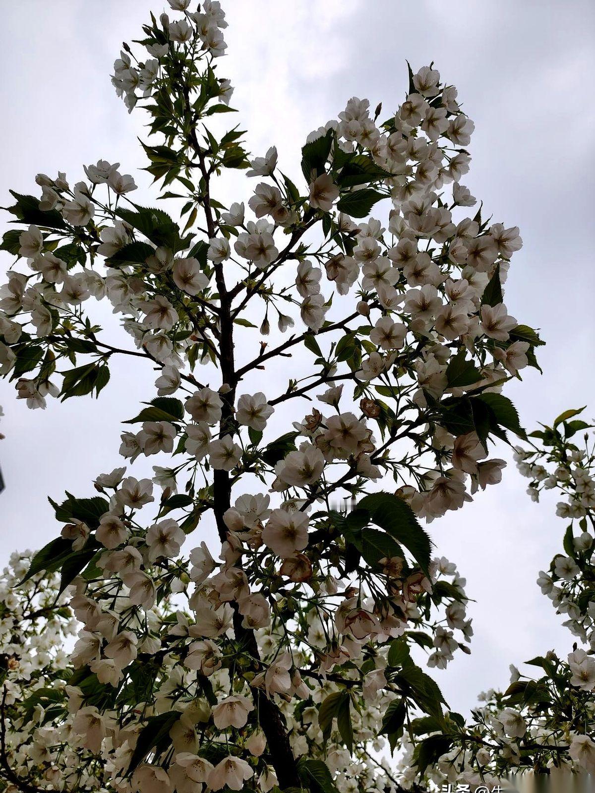 大学里这位教“某某概论”的教授，点名点得全班面面相觑。讲台上，他推了推眼镜，盯