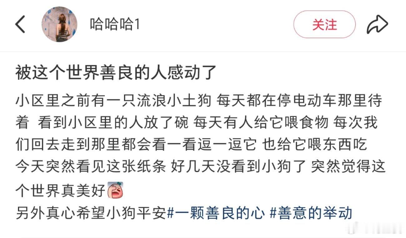 -这才是互联网的意义啊！！网友发现小区里的流浪狗不见了，就写了张纸条纸条被另外一