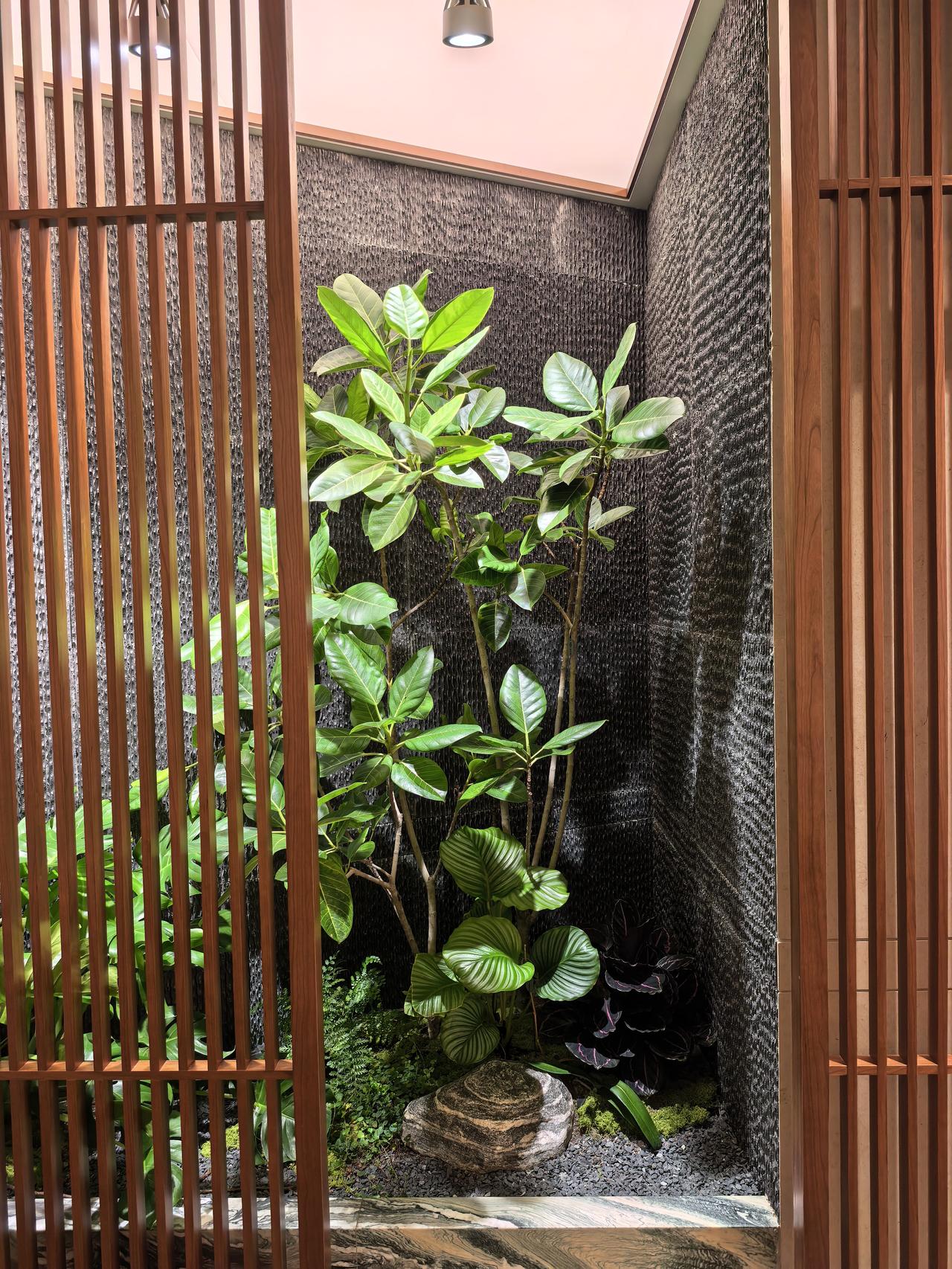 AI复盘:东方财富A股本周走势分析及展望一、本周股价走势回顾本周（6月2