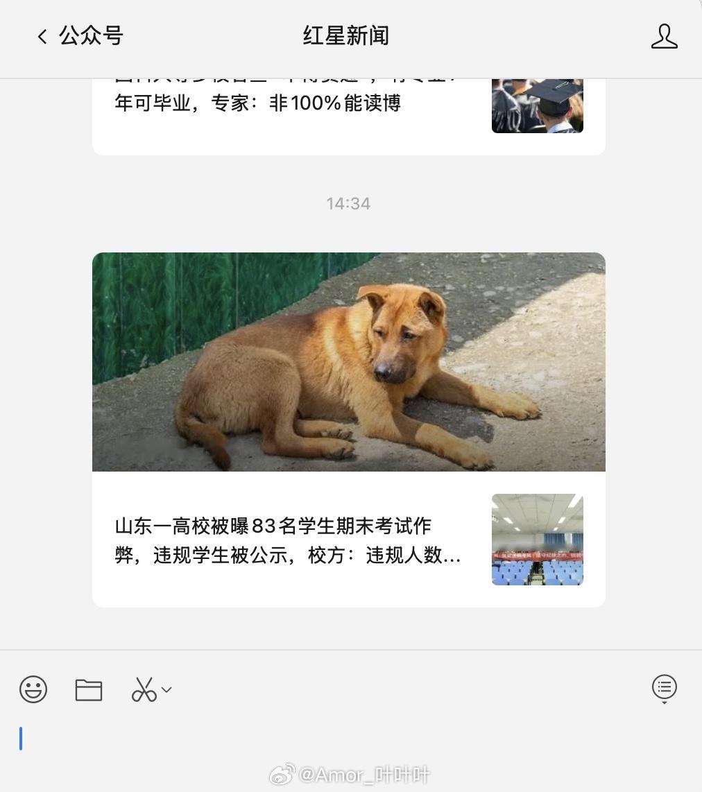 土狗是人类的好朋友，海狗非也。​​​