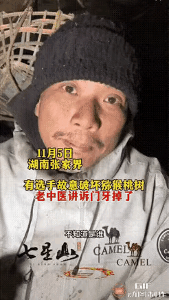 冷美人现在估计肠子都悔青了！她后悔的不是在荒野里吃了多少苦，也不是瘦了那十几