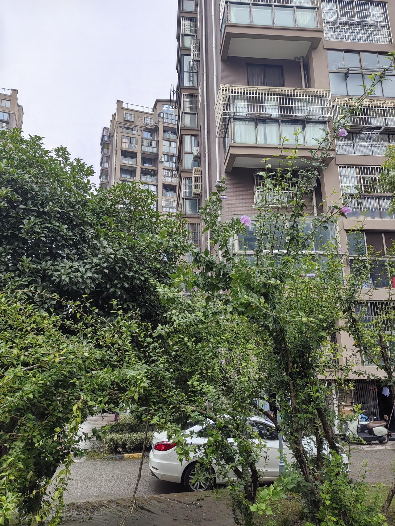 车位总被别人占，怎么办呢？因为儿子的车一周只回来几次，所以在空档期间，总有别