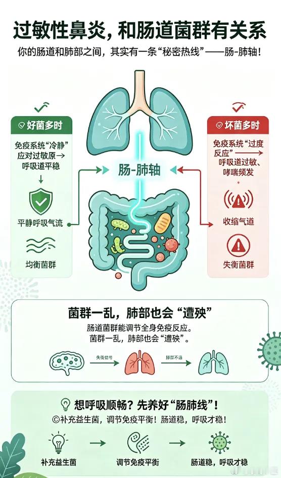 过敏性鼻炎，和肠道菌群有关系很多人在秋天都受，过敏性鼻炎困扰！那些反复喷嚏、流不尽的清涕，或许正源于