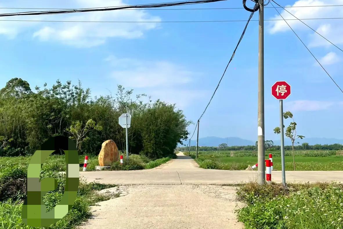人真的不用太努力我侄女211大学毕业，已经四年时间了，考了三次也没有考上教师编
