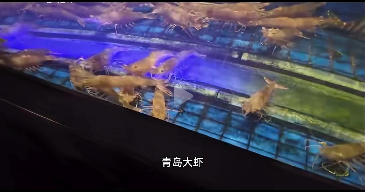 38一只的青岛大虾，也太便宜了，这个198一只。