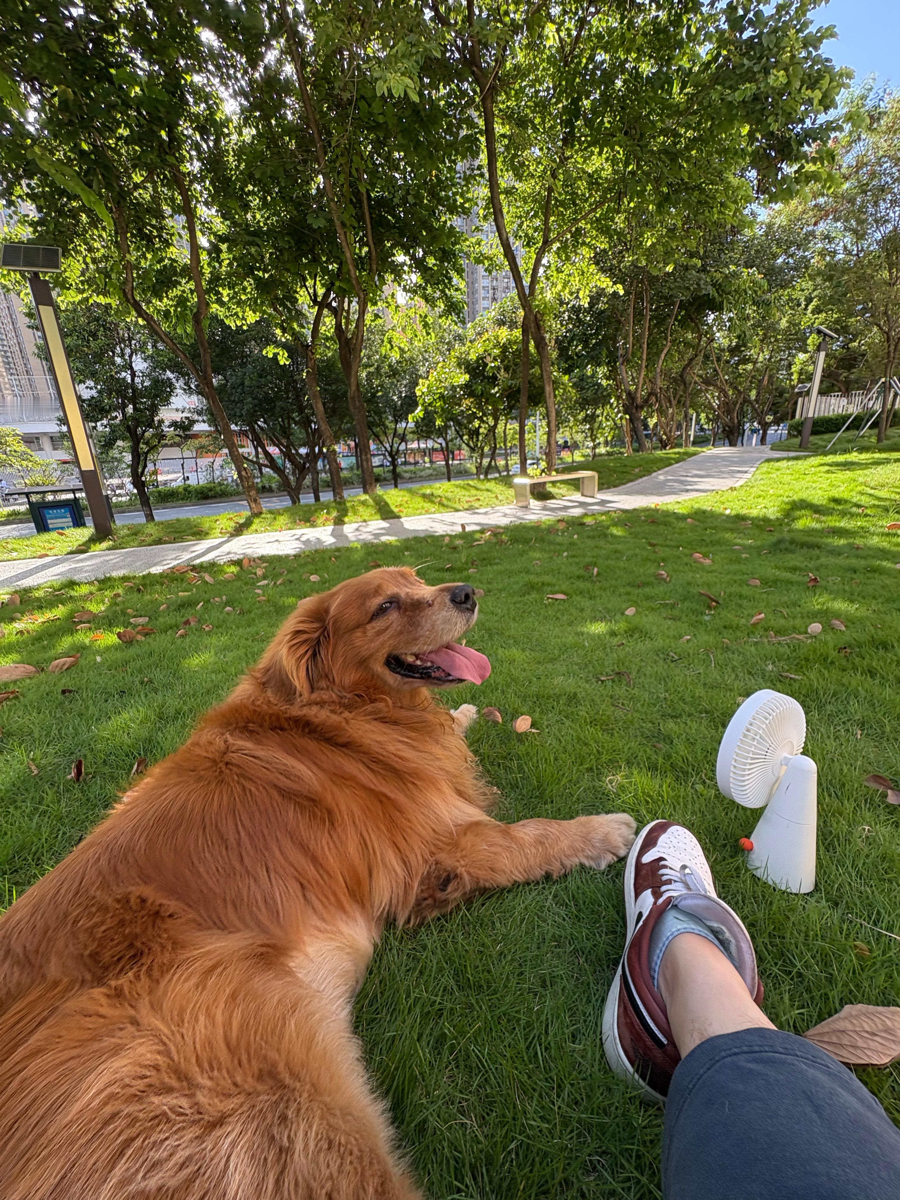 高铁宠物运输箱升级了有推广就是好事！不过有限定条件的，单只体重不超过15千克，
